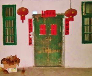 Chickens cluster around their cardboard home on the doorstep of a local farmer in Yangshuo.