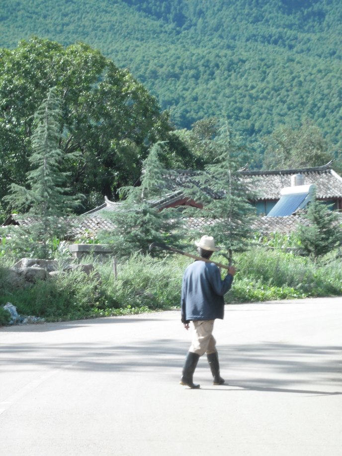 A woodcutter on the outskirts of Dongba village steps out on his homeward journey.