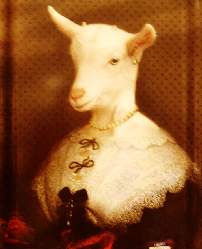 Lady Goat puts on her favourite dress to greet the Christmas guests.